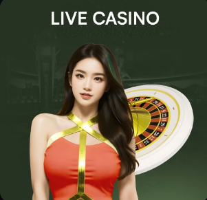 半场战报：宁波0